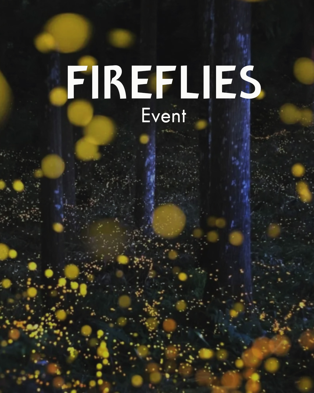 Fireflies
